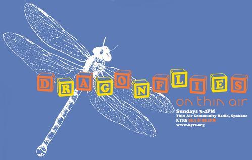 dragonflies logo with title text