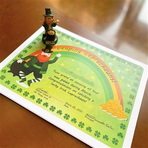  Each student winner got a tiny leprechaun and leaping leprechaun certificate 