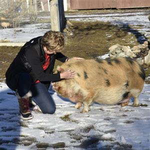 Kathy Fiorillo kneels to kiss 300-pound pig 