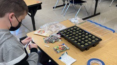 Student working on hydroponic starter kits 