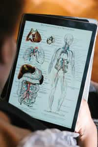 anatomical drawings on a tablet